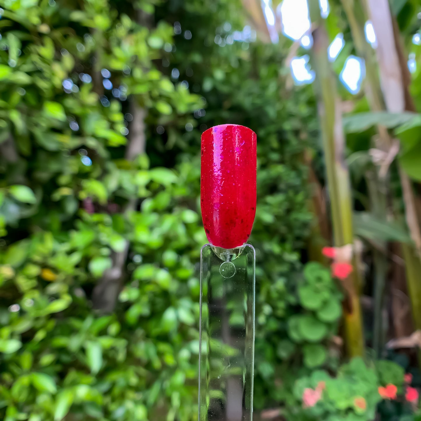 The Red Nail Polish